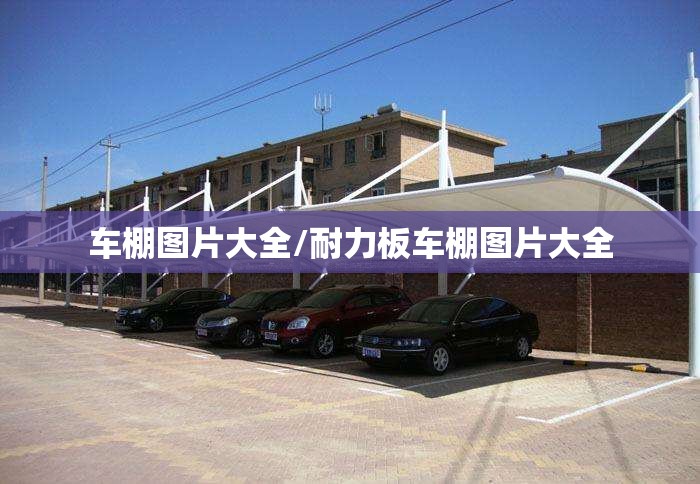 车棚图片大全/耐力板车棚图片大全