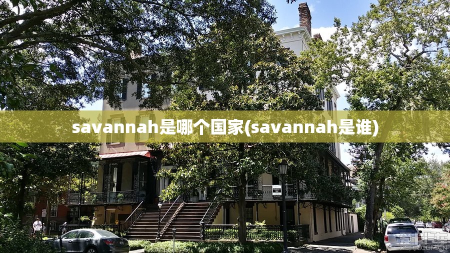 savannah是哪个国家(savannah是谁)