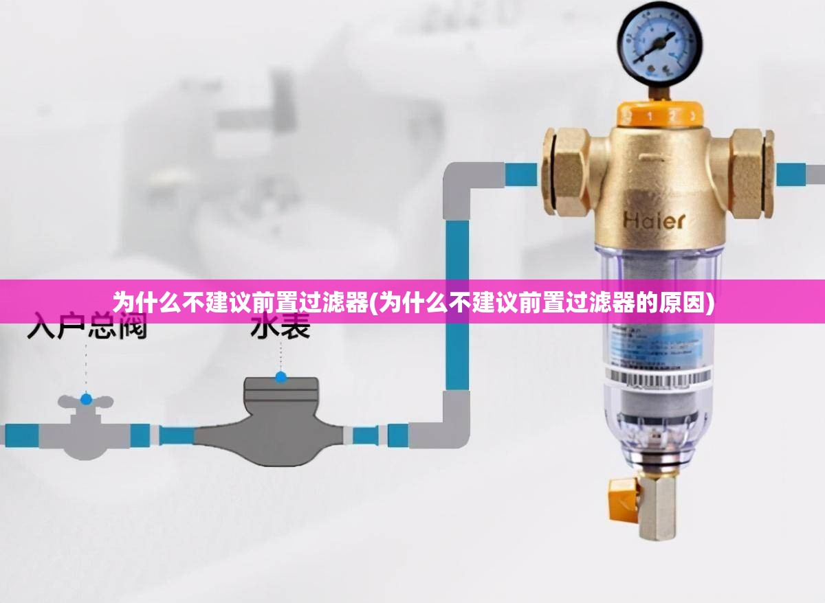 为什么不建议前置过滤器(为什么不建议前置过滤器的原因)