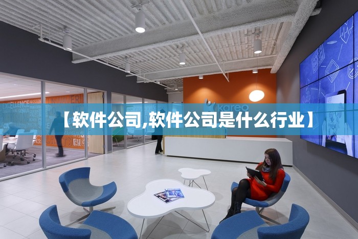 【软件公司,软件公司是什么行业】