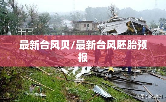 最新台风贝/最新台风胚胎预报 最新台风贝/最新台风胚胎预报