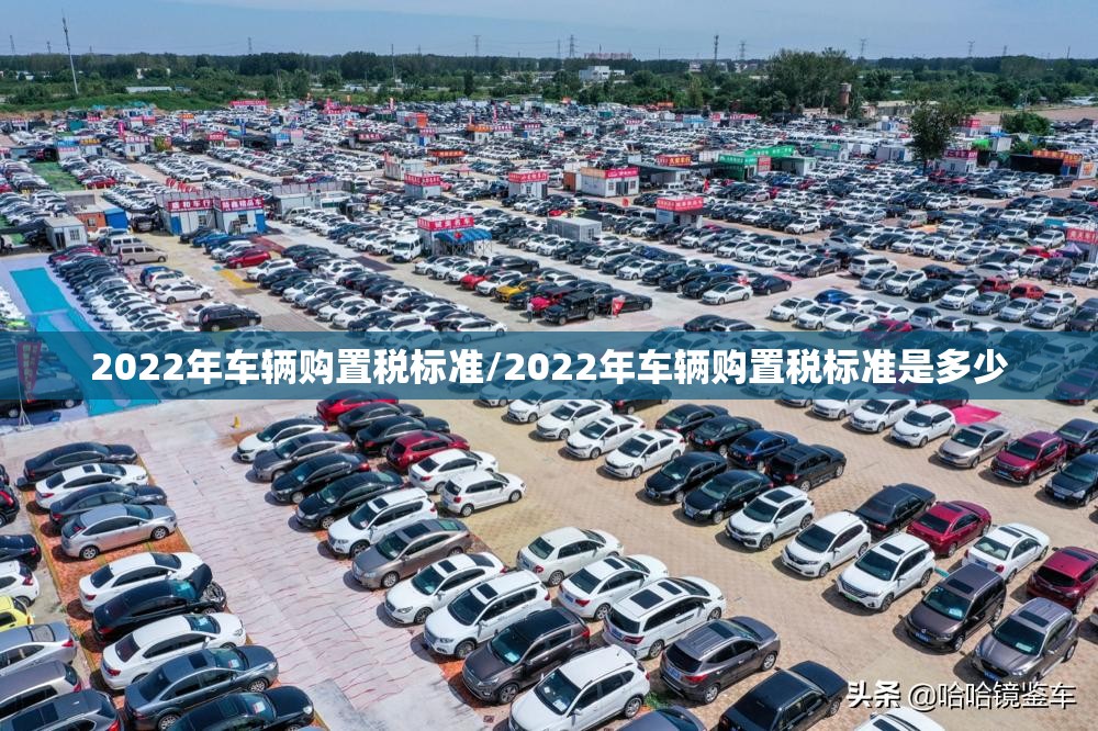 2022年车辆购置税标准/2022年车辆购置税标准是多少