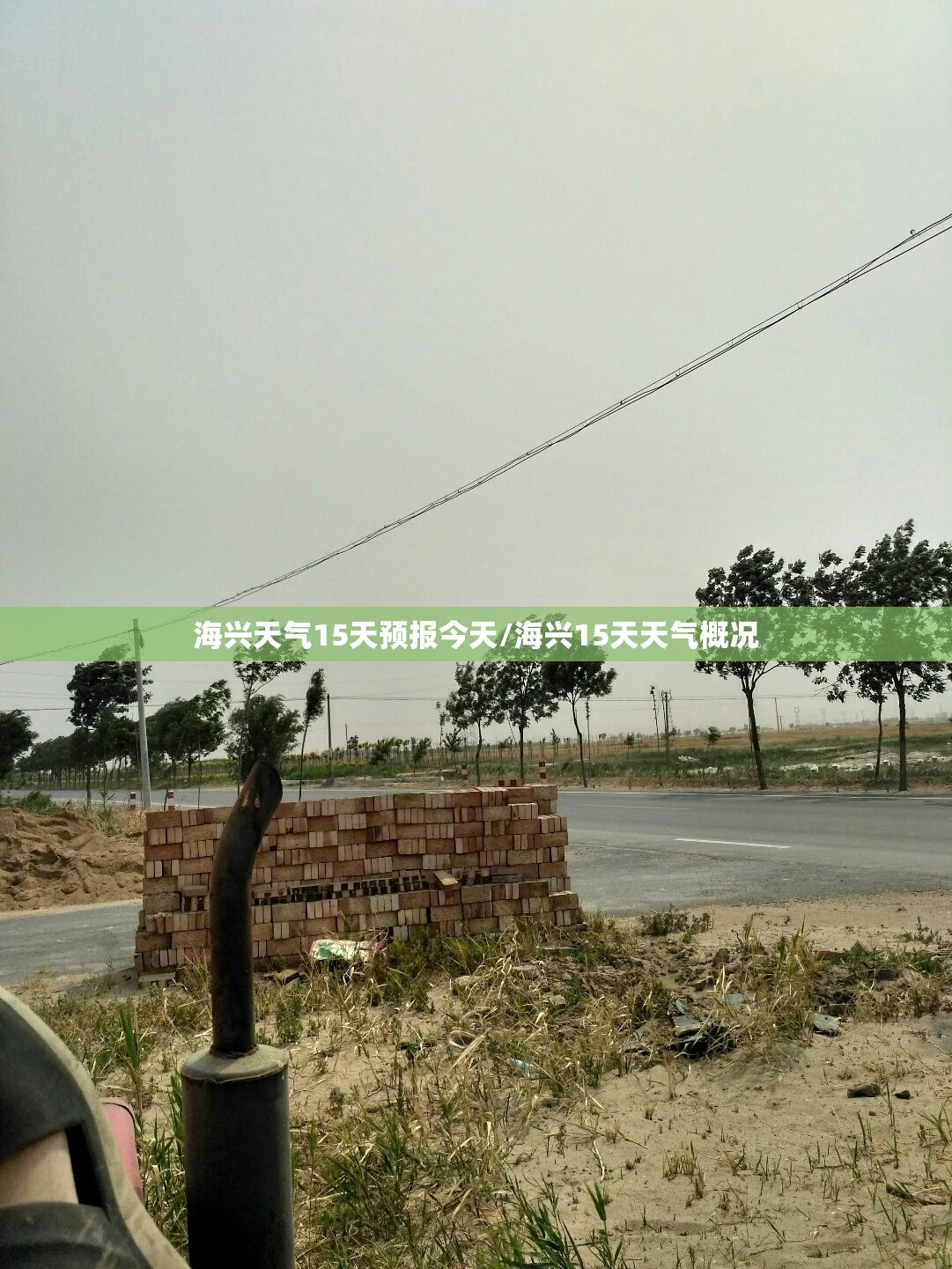 海兴天气15天预报今天/海兴15天天气概况