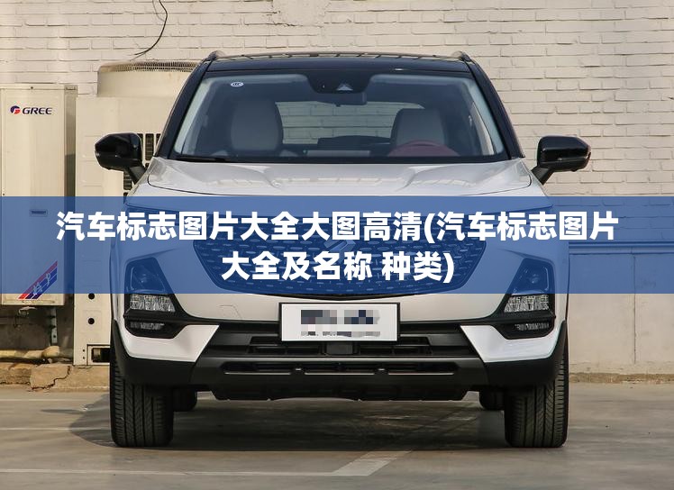 汽车标志图片大全大图高清(汽车标志图片大全及名称 种类)