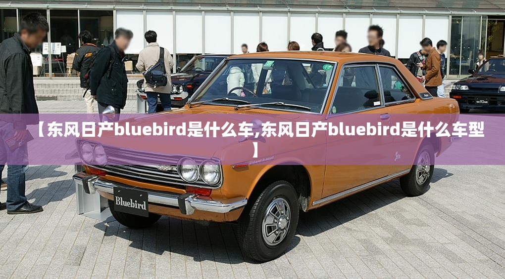 【东风日产bluebird是什么车,东风日产bluebird是什么车型】