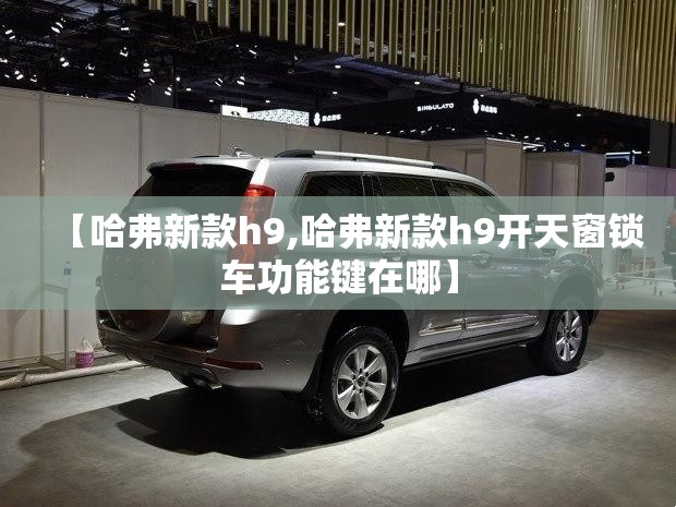 【哈弗新款h9,哈弗新款h9开天窗锁车功能键在哪】
