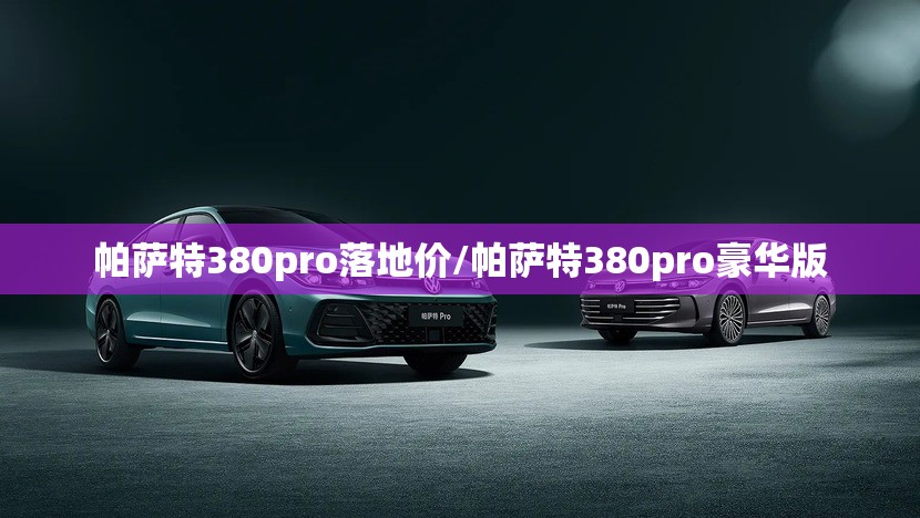 帕萨特380pro落地价/帕萨特380pro豪华版