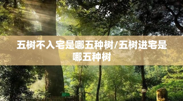 五树不入宅是哪五种树/五树进宅是哪五种树 五树不入宅是哪五种树/五树进宅是哪五种树