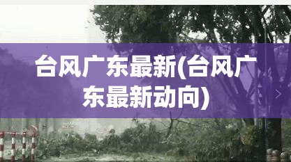 台风广东最新(台风广东最新动向) 台风广东最新(台风广东最新动向)
