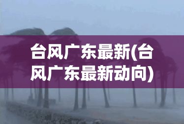 台风广东最新(台风广东最新动向) 台风广东最新(台风广东最新动向)