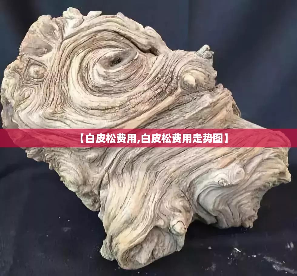【白皮松费用,白皮松费用走势图】