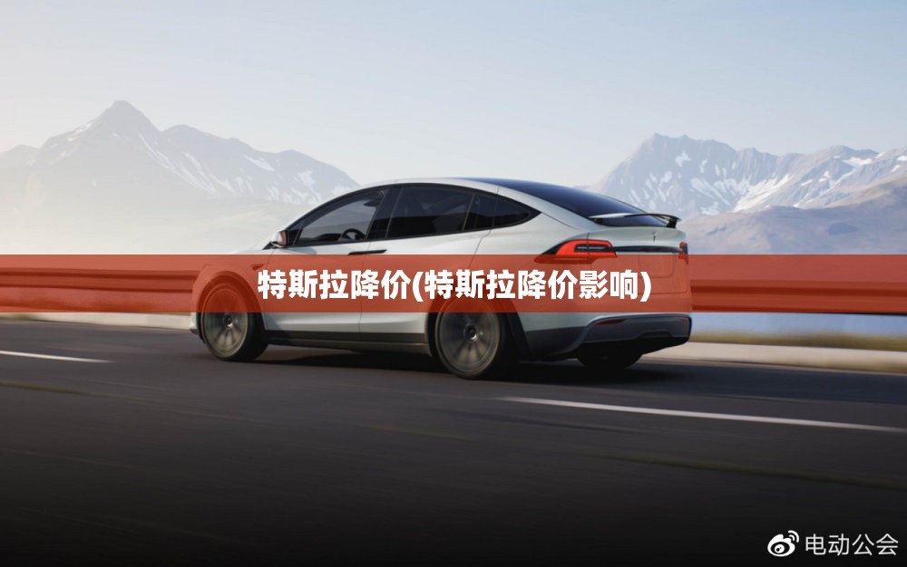特斯拉降价(特斯拉降价影响)