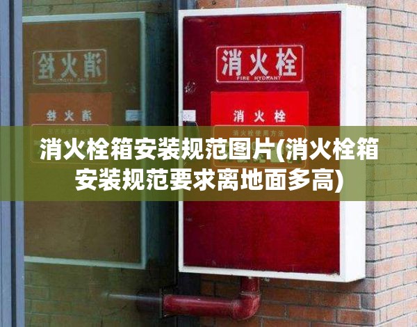 消火栓箱安装规范图片(消火栓箱安装规范要求离地面多高)