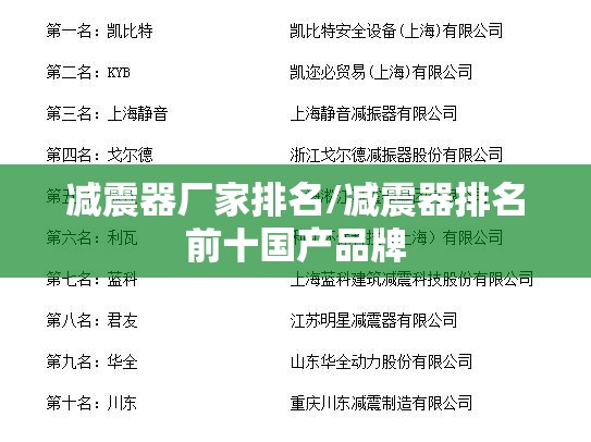 减震器厂家排名/减震器排名前十国产品牌