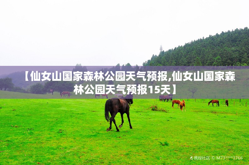【仙女山国家森林公园天气预报,仙女山国家森林公园天气预报15天】