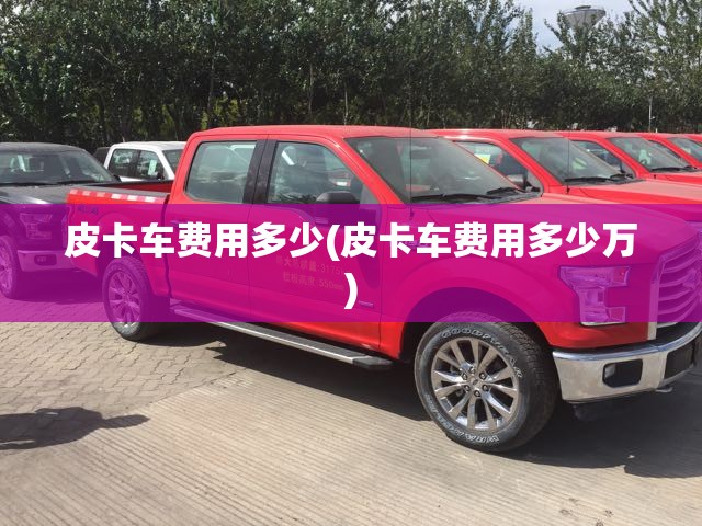 皮卡车费用多少(皮卡车费用多少万)