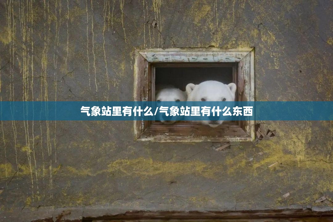 气象站里有什么/气象站里有什么东西
