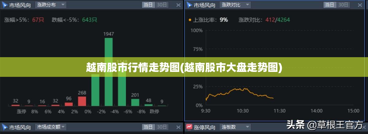 越南股市行情走势图(越南股市大盘走势图)