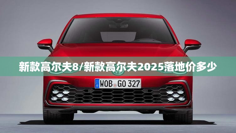 新款高尔夫8/新款高尔夫2025落地价多少