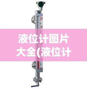 液位计图片大全(液位计探头图片)