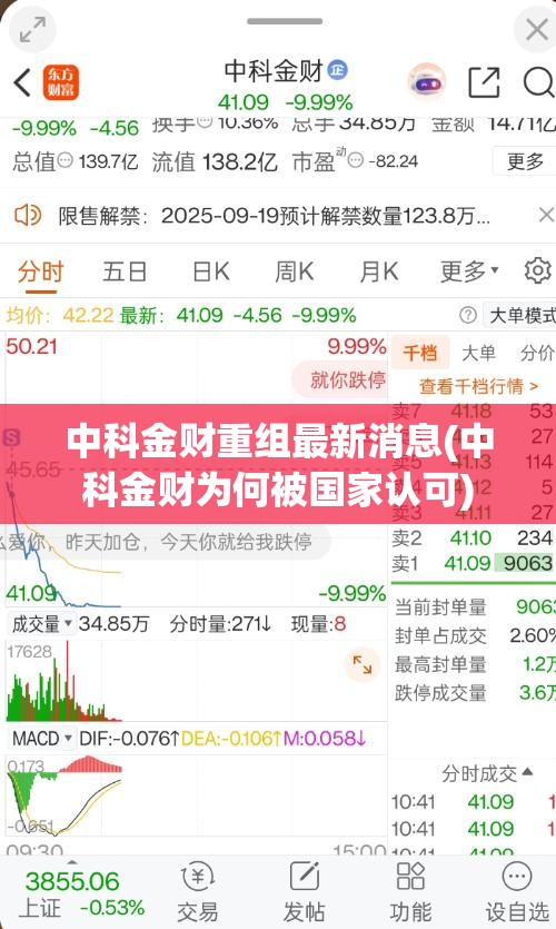 中科金财重组最新消息(中科金财为何被国家认可)