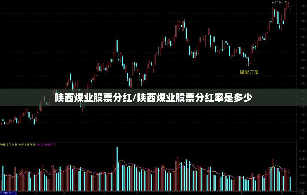 陕西煤业股票分红/陕西煤业股票分红率是多少