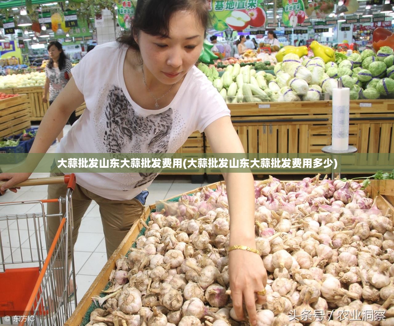 大蒜批发山东大蒜批发费用(大蒜批发山东大蒜批发费用多少) 大蒜批发山东大蒜批发费用(大蒜批发山东大蒜批发费用多少)