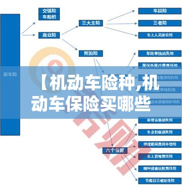 【机动车险种,机动车保险买哪些险种就好了】 【机动车险种,机动车保险买哪些险种就好了】