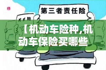 【机动车险种,机动车保险买哪些险种就好了】 【机动车险种,机动车保险买哪些险种就好了】