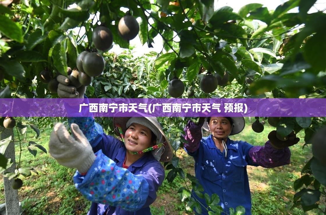 广西南宁市天气(广西南宁市天气 预报) 广西南宁市天气(广西南宁市天气 预报)