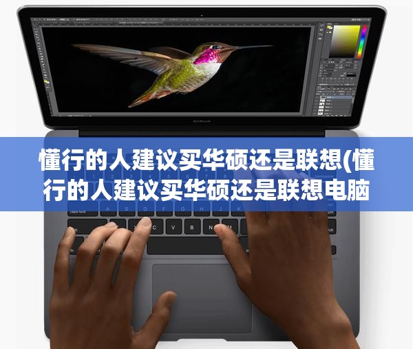 懂行的人建议买华硕还是联想(懂行的人建议买华硕还是联想电脑)
