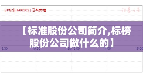 【标准股份公司简介,标榜股份公司做什么的】