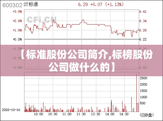【标准股份公司简介,标榜股份公司做什么的】