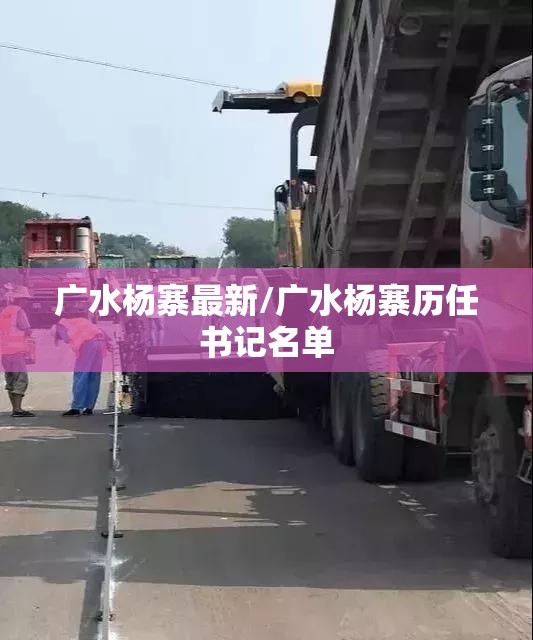 广水杨寨最新/广水杨寨历任书记名单