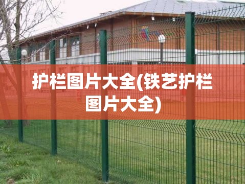 护栏图片大全(铁艺护栏图片大全) 护栏图片大全(铁艺护栏图片大全)