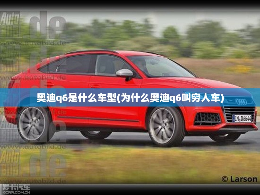 奥迪q6是什么车型(为什么奥迪q6叫穷人车)