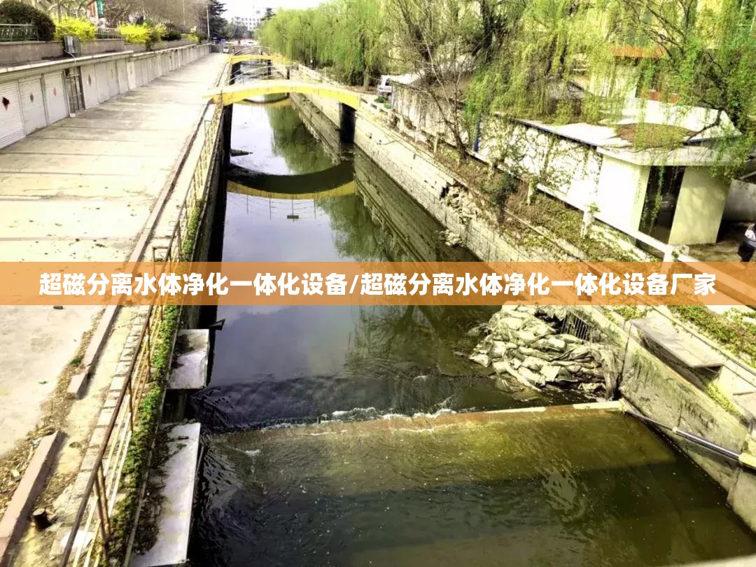 超磁分离水体净化一体化设备/超磁分离水体净化一体化设备厂家 超磁分离水体净化一体化设备/超磁分离水体净化一体化设备厂家