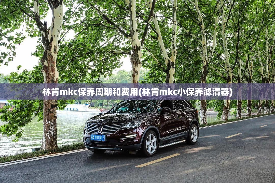 林肯mkc保养周期和费用(林肯mkc小保养滤清器) 林肯mkc保养周期和费用(林肯mkc小保养滤清器)