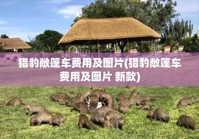 猎豹敞篷车费用及图片(猎豹敞篷车费用及图片 新款)