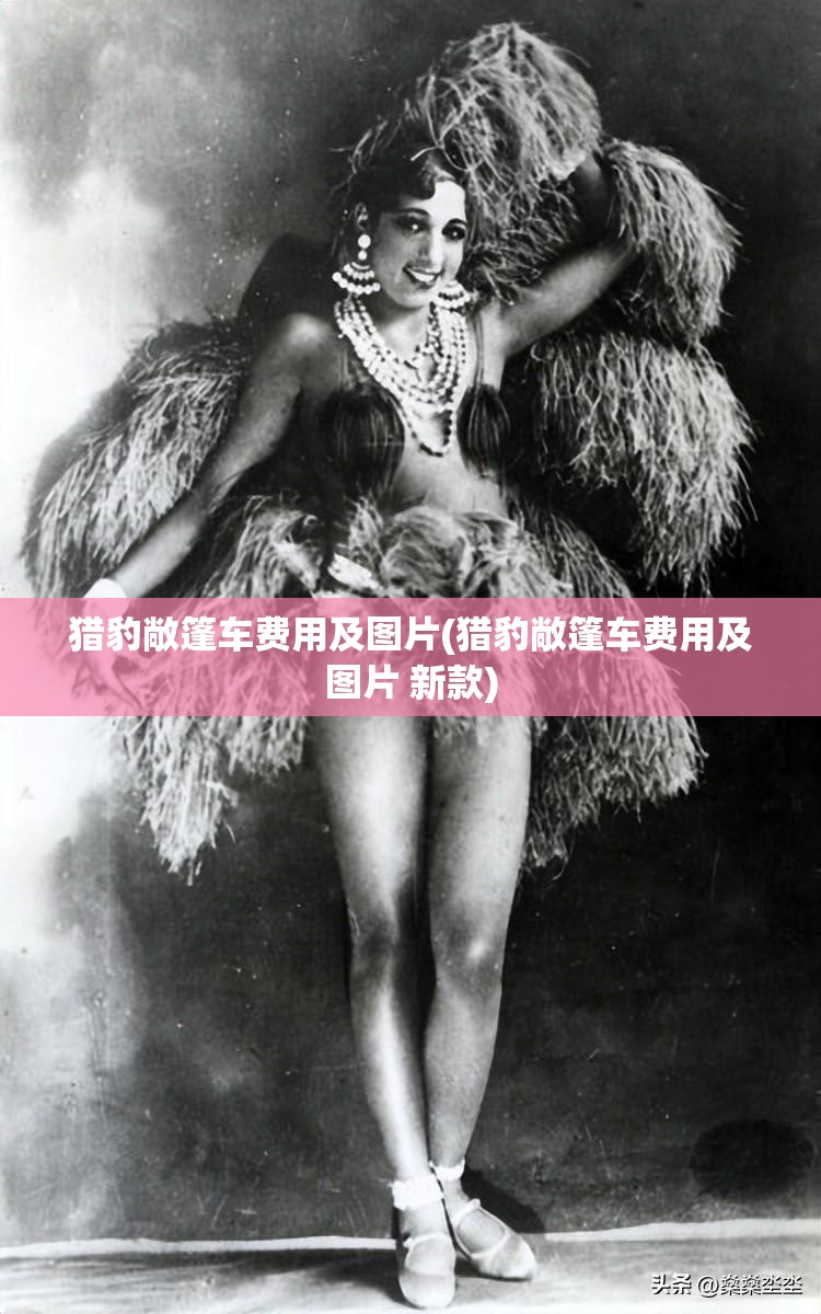 猎豹敞篷车费用及图片(猎豹敞篷车费用及图片 新款)