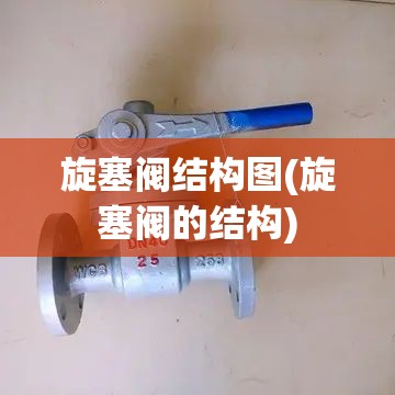 旋塞阀结构图(旋塞阀的结构)