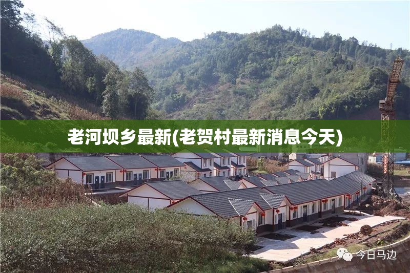 老河坝乡最新(老贺村最新消息今天)