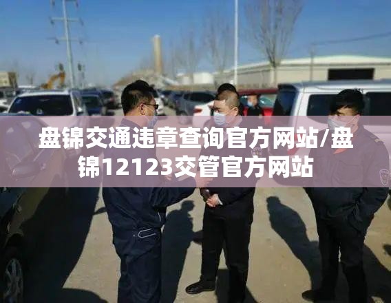 盘锦交通违章查询官方网站/盘锦12123交管官方网站