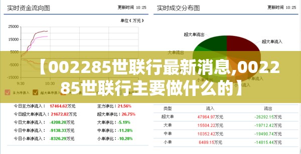 【002285世联行最新消息,002285世联行主要做什么的】