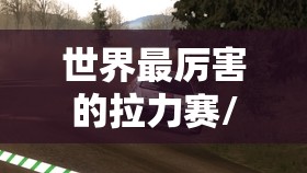世界最厉害的拉力赛/世界最厉害的拉力赛是什么