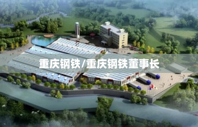 重庆钢铁/重庆钢铁董事长