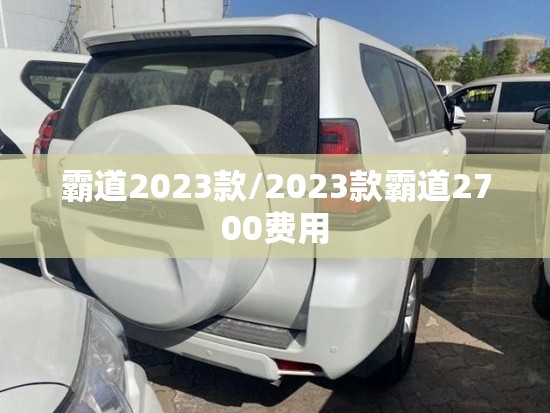 霸道2023款/2023款霸道2700费用