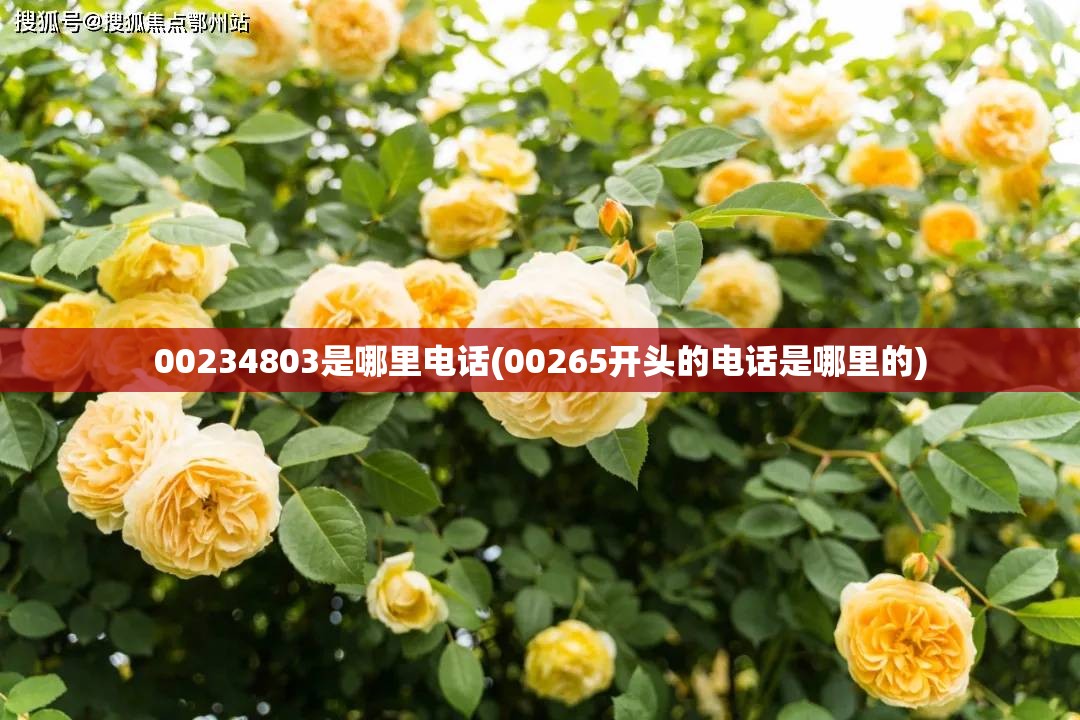 00234803是哪里电话(00265开头的电话是哪里的)