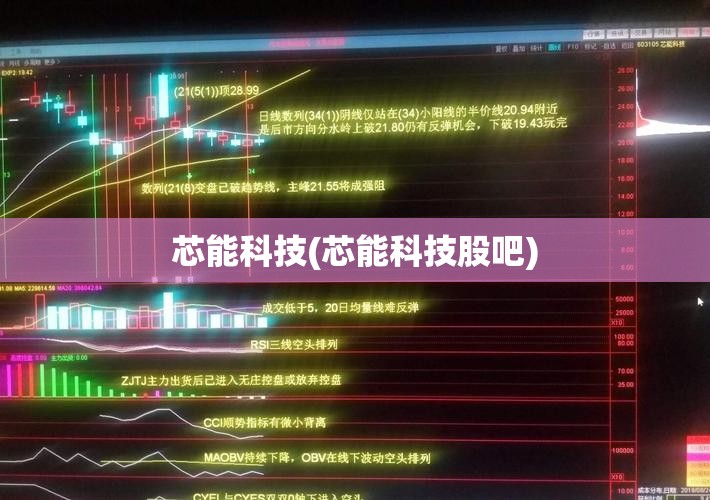 芯能科技(芯能科技股吧)
