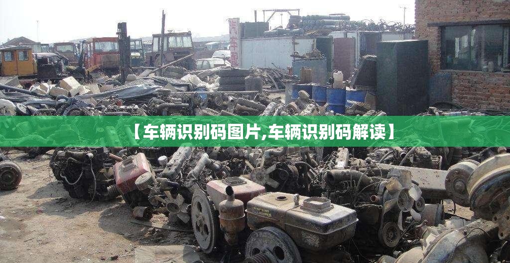 【车辆识别码图片,车辆识别码解读】